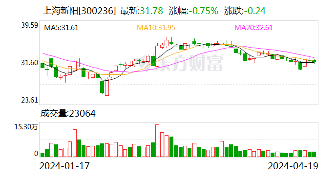 賭馬：上海新陽：2024年第一季度淨利潤3241.04萬元 同比下降42.53%