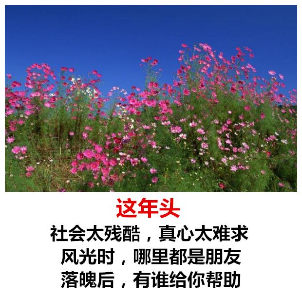 {娛樂城}(所谓生活,一半烟火,一半清欢)